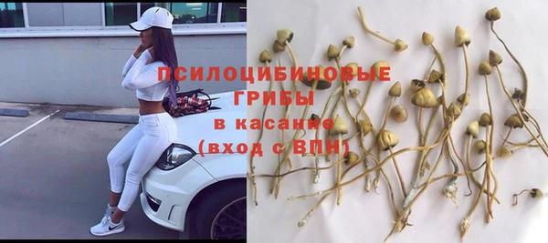 ешки Михайлов