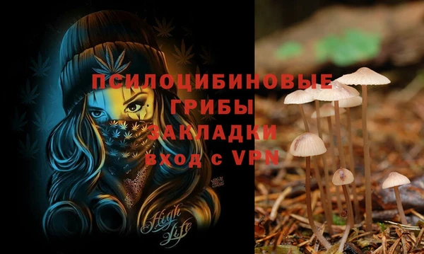 ешки Михайлов