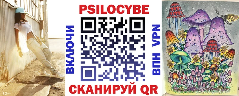 omg маркетплейс  Богучар  Галлюциногенные грибы Psilocybe 