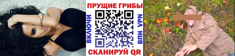 Галлюциногенные грибы GOLDEN TEACHER Богучар